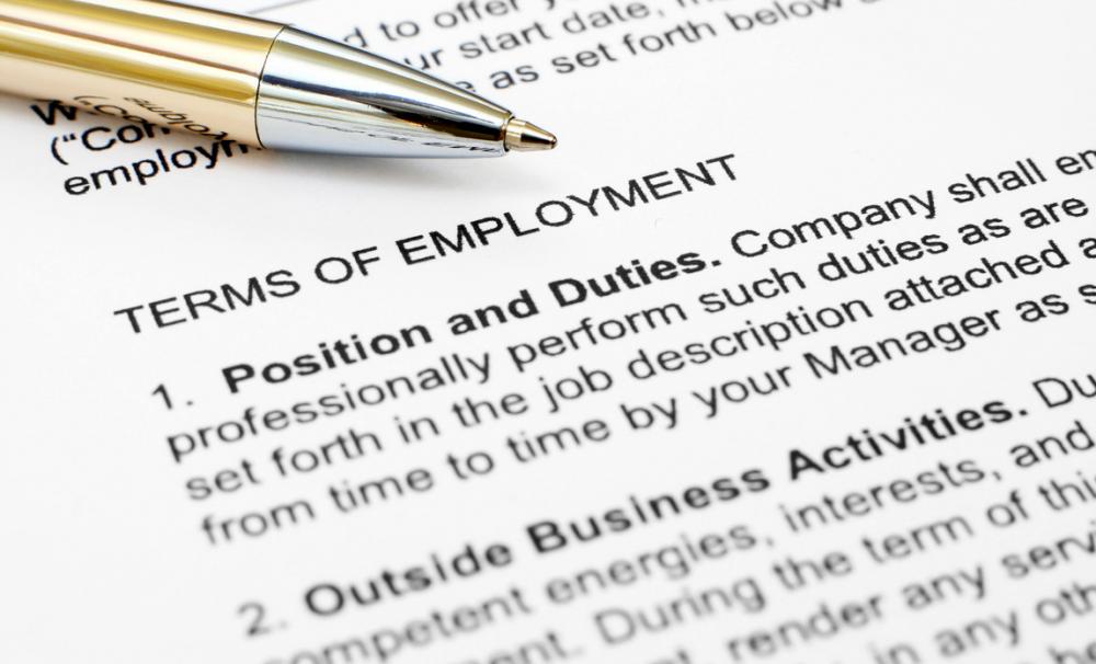 Employment Contract